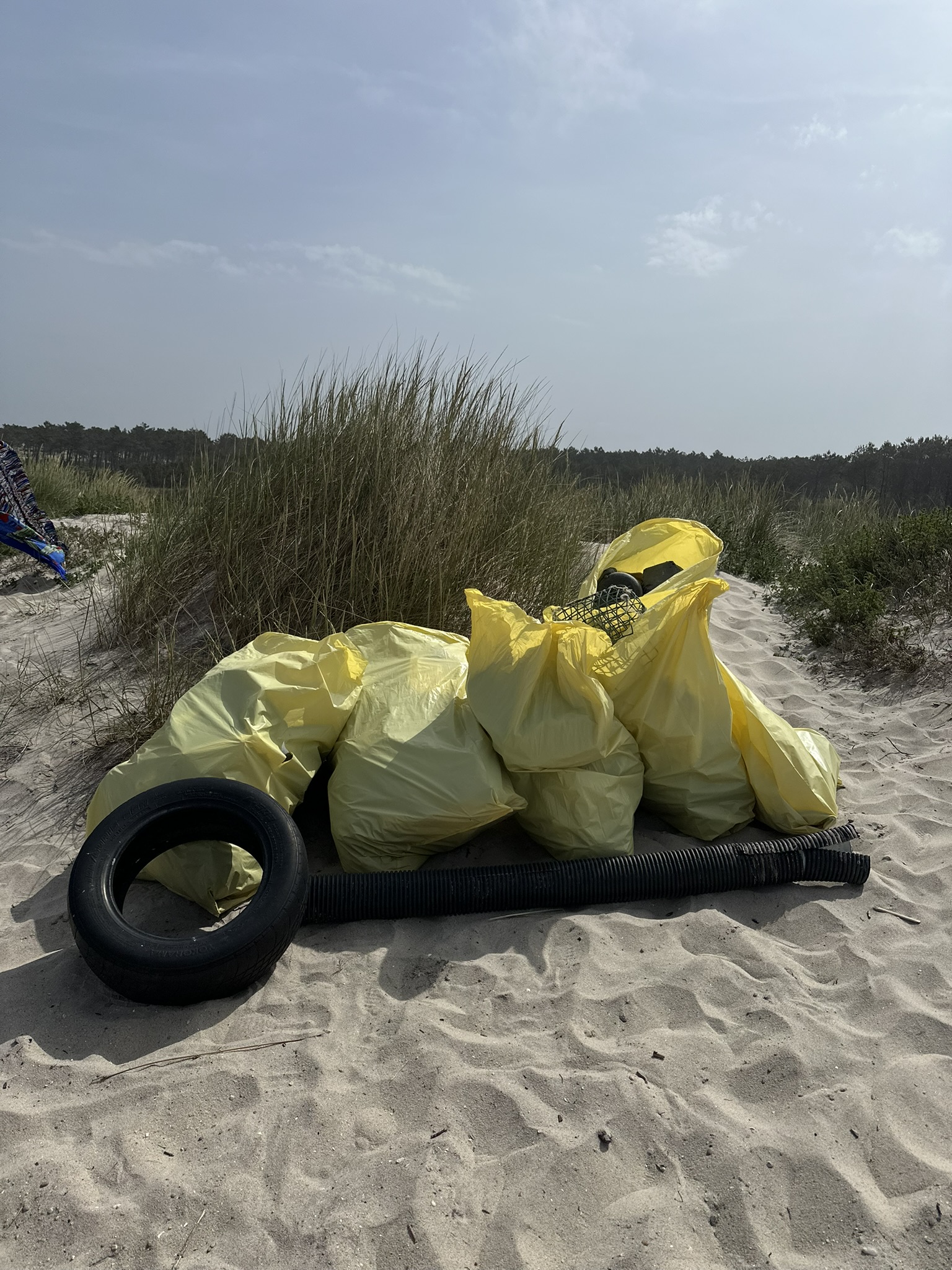 IMG_2562