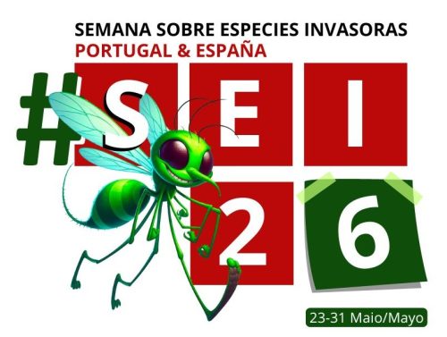 SEI-2024-LOGO-e1762520267167