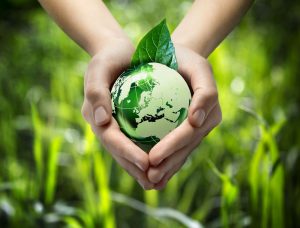 Sinalética para a poupança de água e de energia