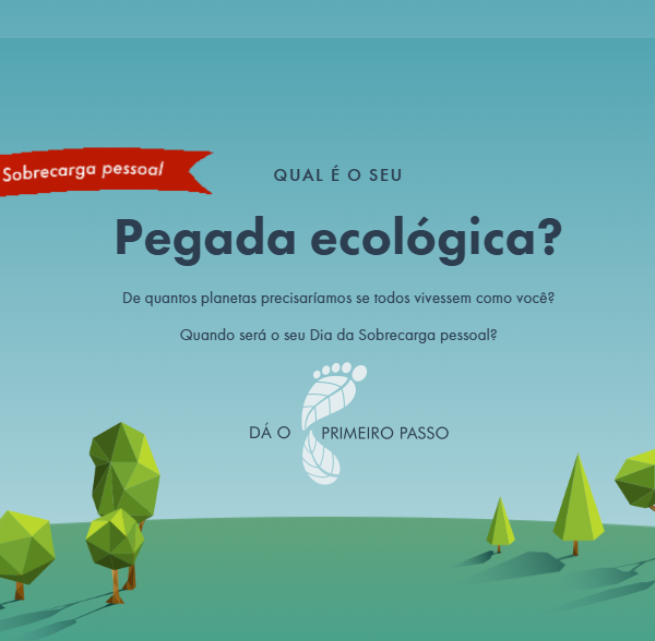 Será que podes reduzir a tua pegada energética?